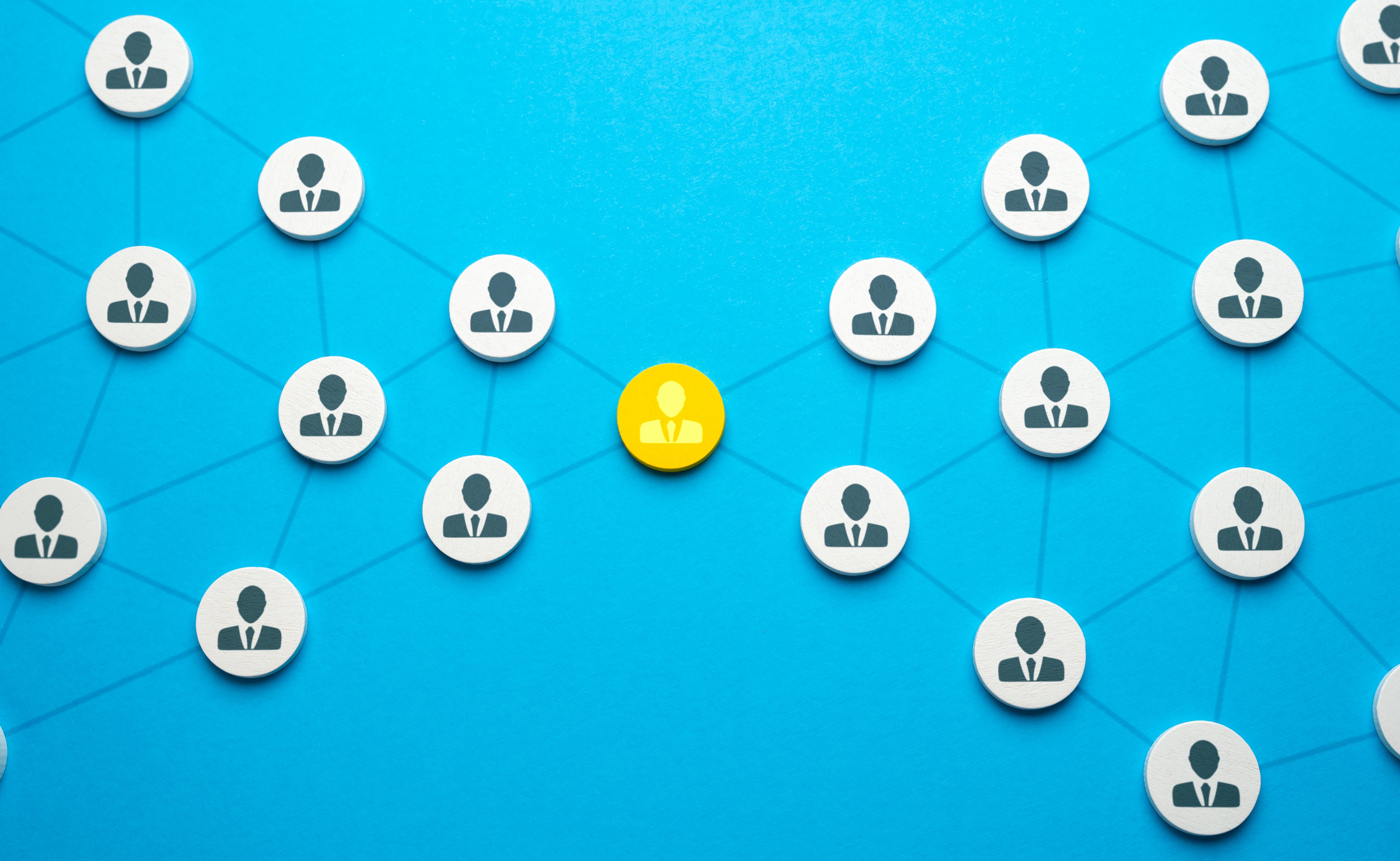 Digital network growth via LinkedIn. 